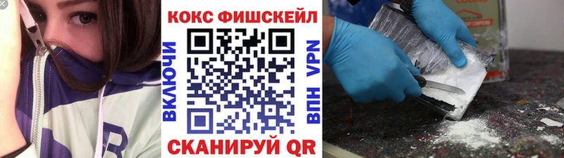 Купить закладки  Ельня  Кокаин Fish Scale 