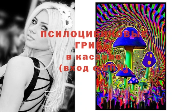 мдпв Навашино