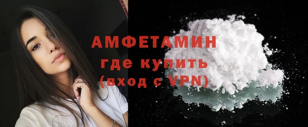 индика Аша
