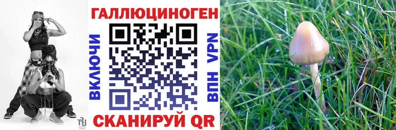 Купить закладки  Ельня  Галлюциногенные грибы MAGIC MUSHROOMS 